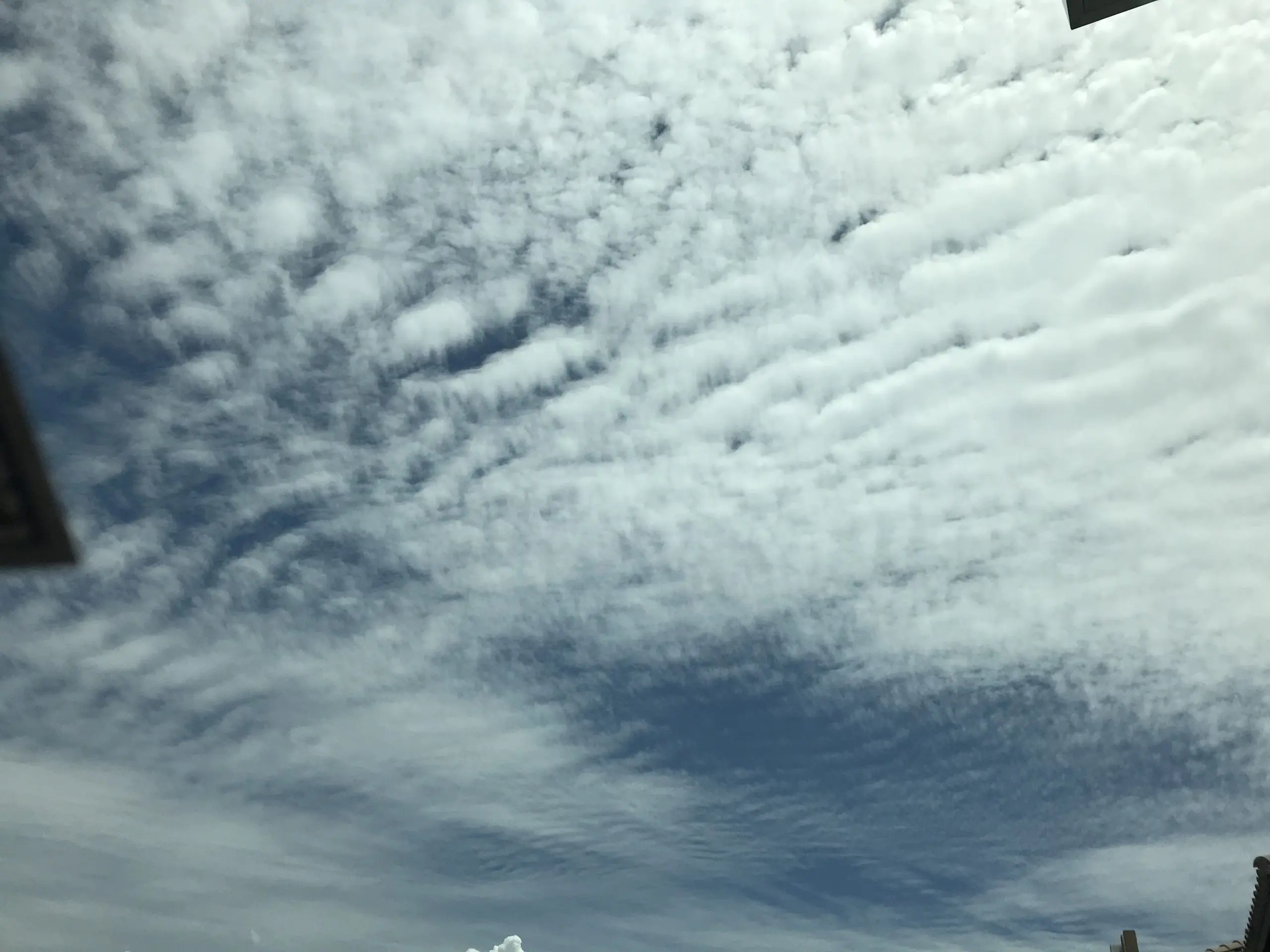 1eb4ef5c-af1b-4647-8c90-cf366d1645dc