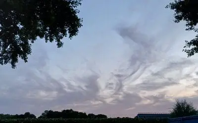 Netherlands- Friesland