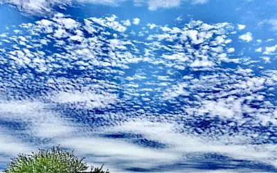 Chemical blobs over Maricopa Arizona. Blobby butts in the AZ State House too.