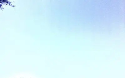 Department of Defense, Dept of Energy, NOAA, NASA are main culprits in high atmosphere. Chemical spraying. Keeping Arizona skies a perpetual milky color instead of the blue they should be.