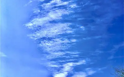 Federal gov just sprayed this ugly thing over Maricopa Arizona.