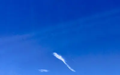 Pop Quiz: Please choose only one answer. The chemtrails continue non-stop because. ..#1. Trump is not the brightest bulb in box. #2. Trump is compromised #3. Trump is clueless. #4.All of the above