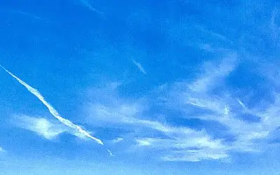 Arizona. Thanks for nothing Trump. Just another deep-state tool