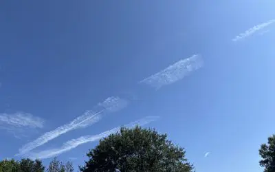 CRIMES AGAINST HUMANITY! Dothan, Alabama