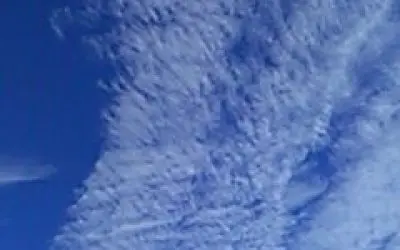 Wis dumping parasites