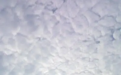 Wis- stink ass pilots