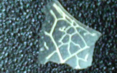 From chemtrail    wis