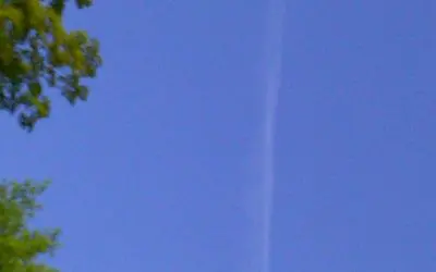 Ojibwa park    dumping parasites -eggs stink ass dwarf pilots