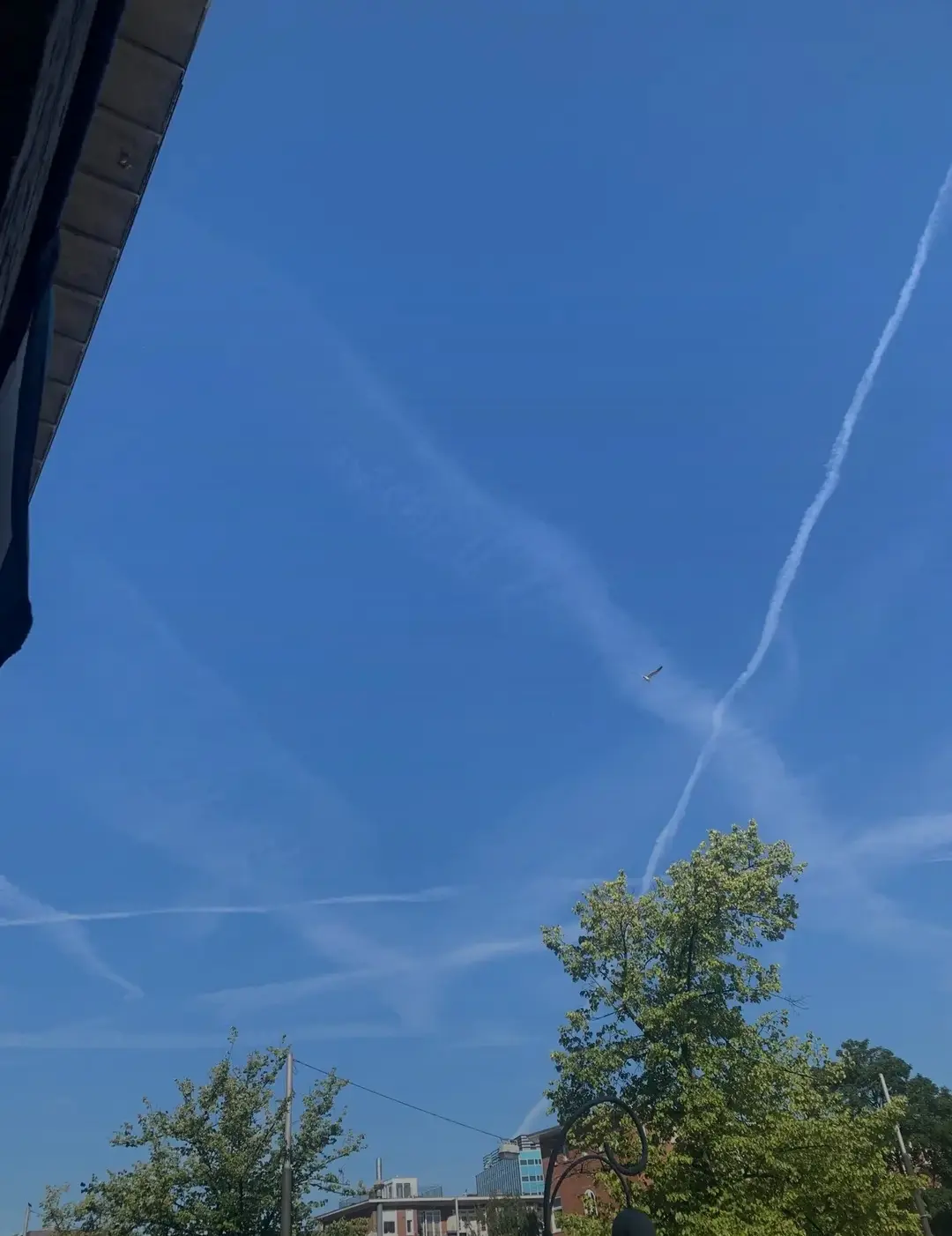 screenshot_20250704_101936