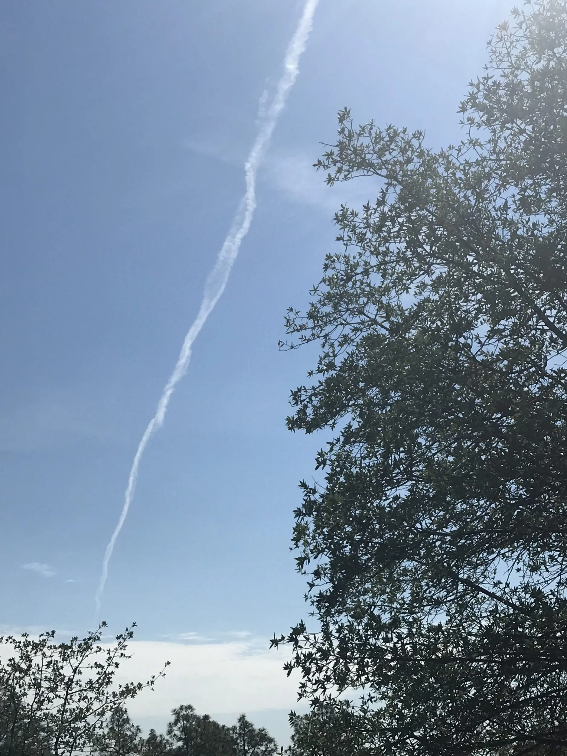 0d93464f-1af9-41d1-9773-5c54d646e933