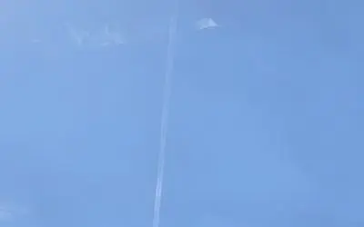 Poisoning with ‘purpose’