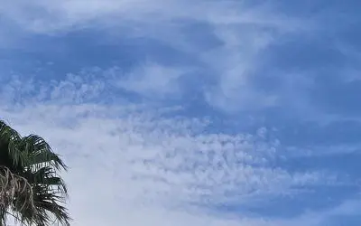 Odd ‘cloud’ dispersal