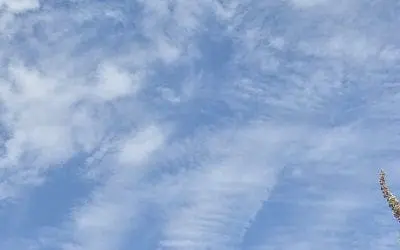 Manipulated ‘weather’