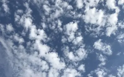 Dewey Arizona – Another Day Inhaling Poison!  MTG, RFK Jr, Trump, We Need Help To Stop This Assault!