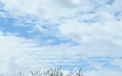 Images in Newburgh, NY area