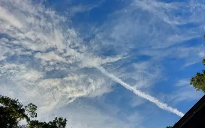 Still here where “banned”