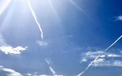 Where are the Real Men? When I was growing up there were still real men, they would not have tolerated this. If there are any real men left..why aren’t you standing up against this?