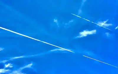 Arrest those responsible! Take them into custody and charge them with crimes against humanity.