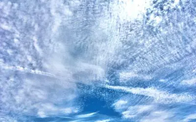 Why does Donald Trump allow this?