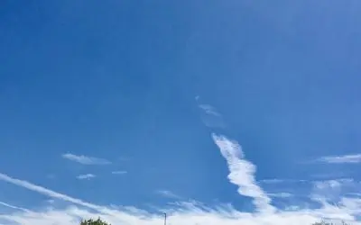 Arrest Bill Gates! Arrest George Soros! Places shackles on the members of the World Economic Forum!