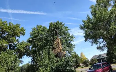 Cache Valley, Utah, Aug. 11, 2025 at 3 15 pm MT