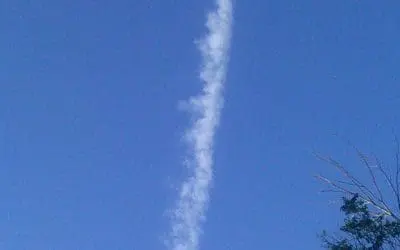 Butt  holes dumping in wis