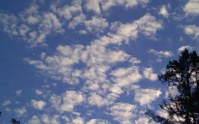 Ojibwa park wis      camping