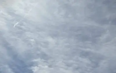 Poisoning again for ‘possible rain’