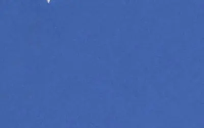 Odd, but no surprise