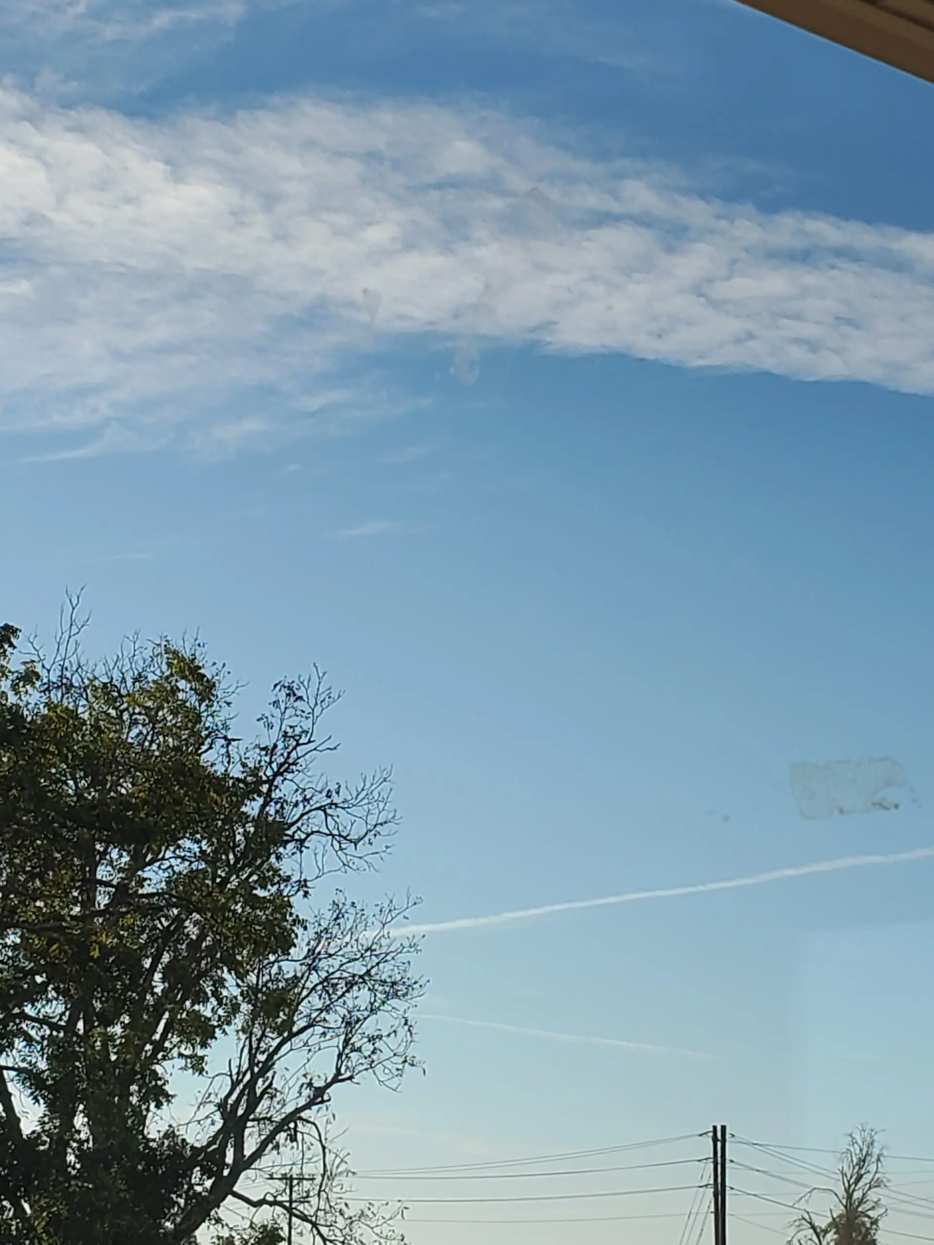 17590663632048068109485790446973