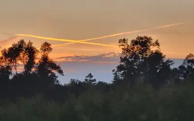 Email/Call your state reps!