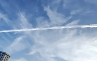 Since 1947…DISGUSTING!