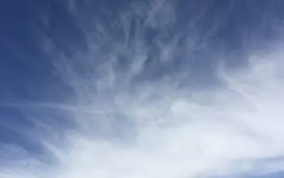 Question for Real Men. Are you ready to stand up and put these punks in their place. Ready to take care of business?