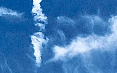 So called information wars are not going to stop these. It will take real ACTION on your part. Turn off the internet (DARPA) influencers and podcasts and set the kool-aid down and get active to stop these.