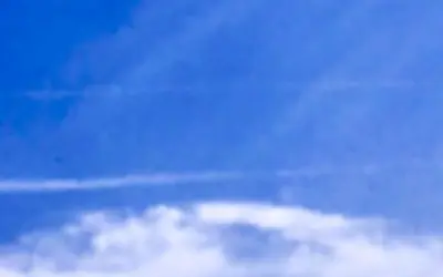 Fascist Pigs spraying the children of Phoenix