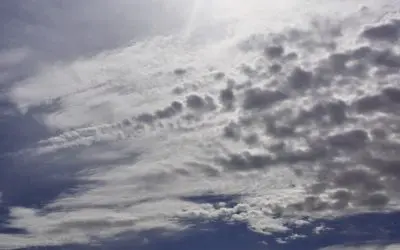 Your President left this parting gift for you before he flew off to London. Why does Donald dine with Bill Gates at the White House on your taxpayer dime?