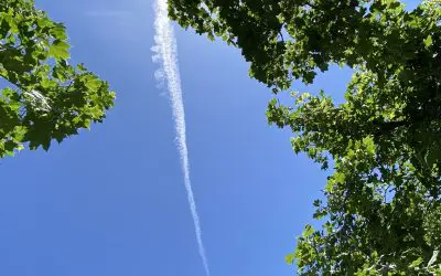 Utah County June14, 2025