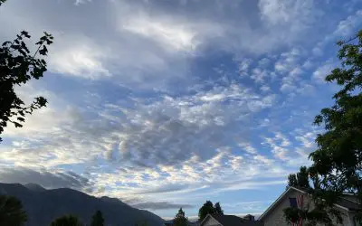 Utah County Aug. 8, 2025