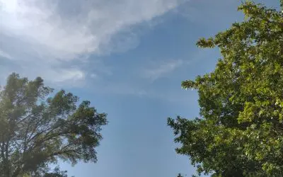 They just keep on coming September 3, 2025. Cache Valley, Utah 12.00 p.m.