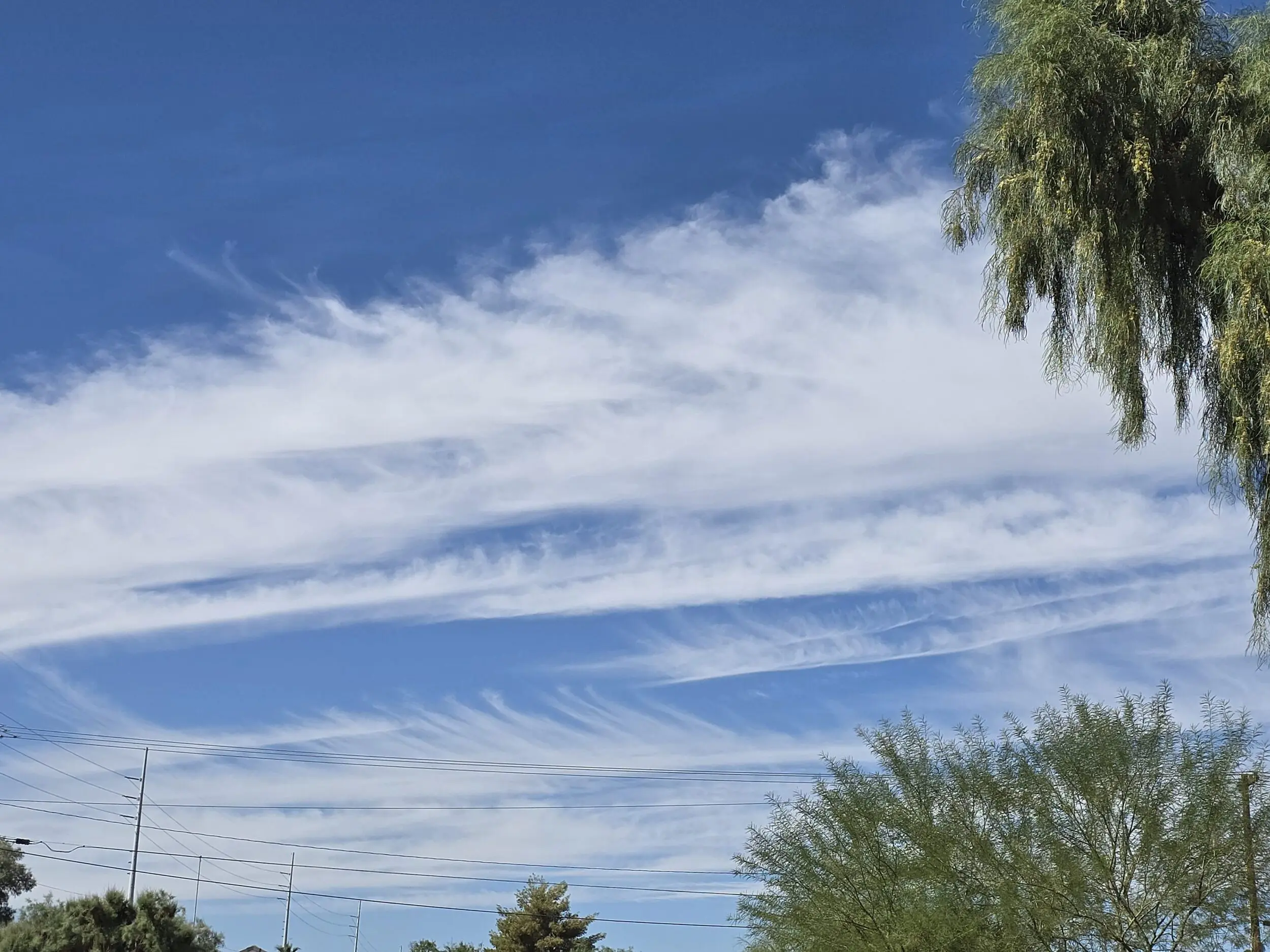 17603812268923273184821212909563