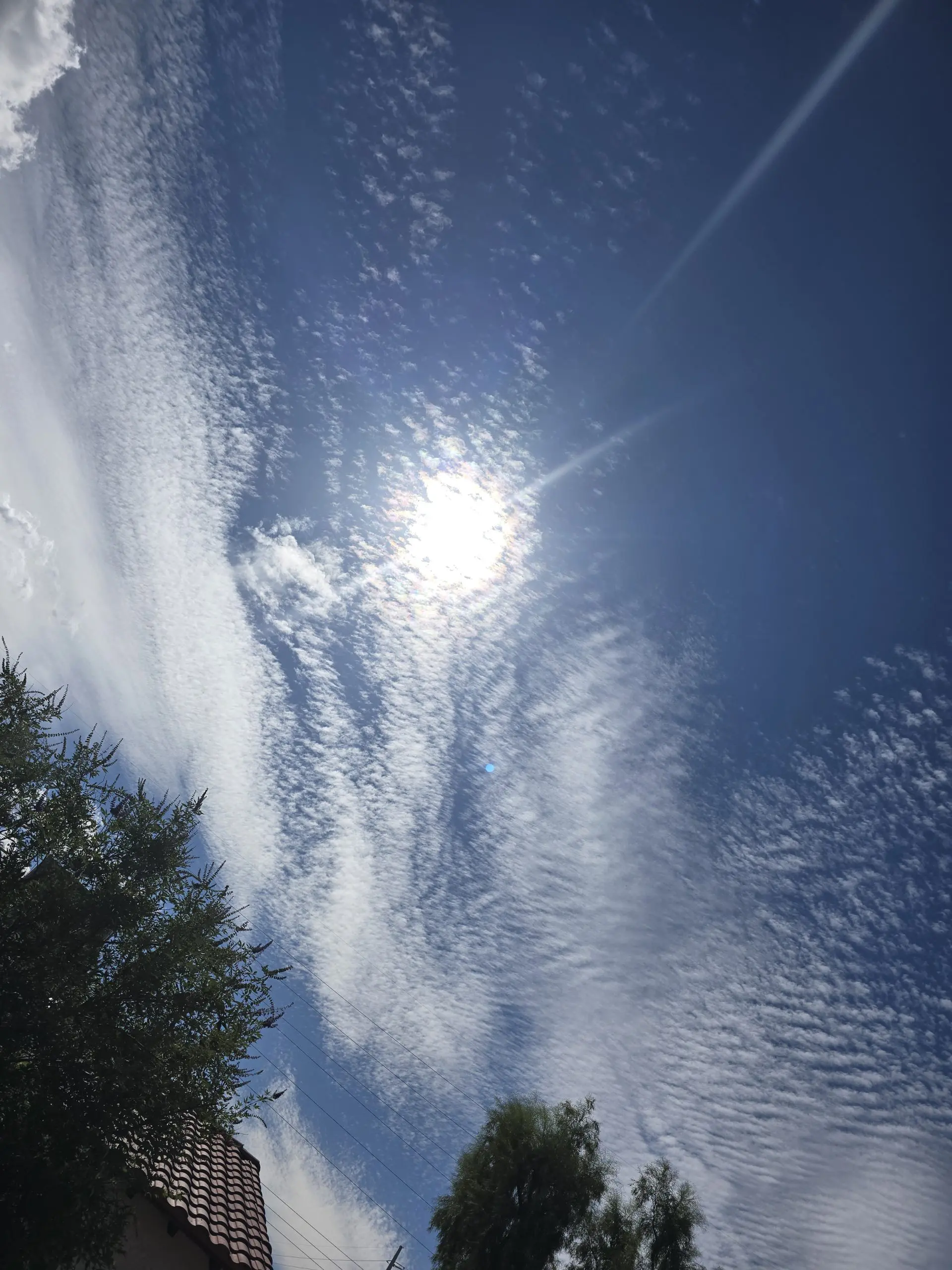 17603824953263139025472706085226