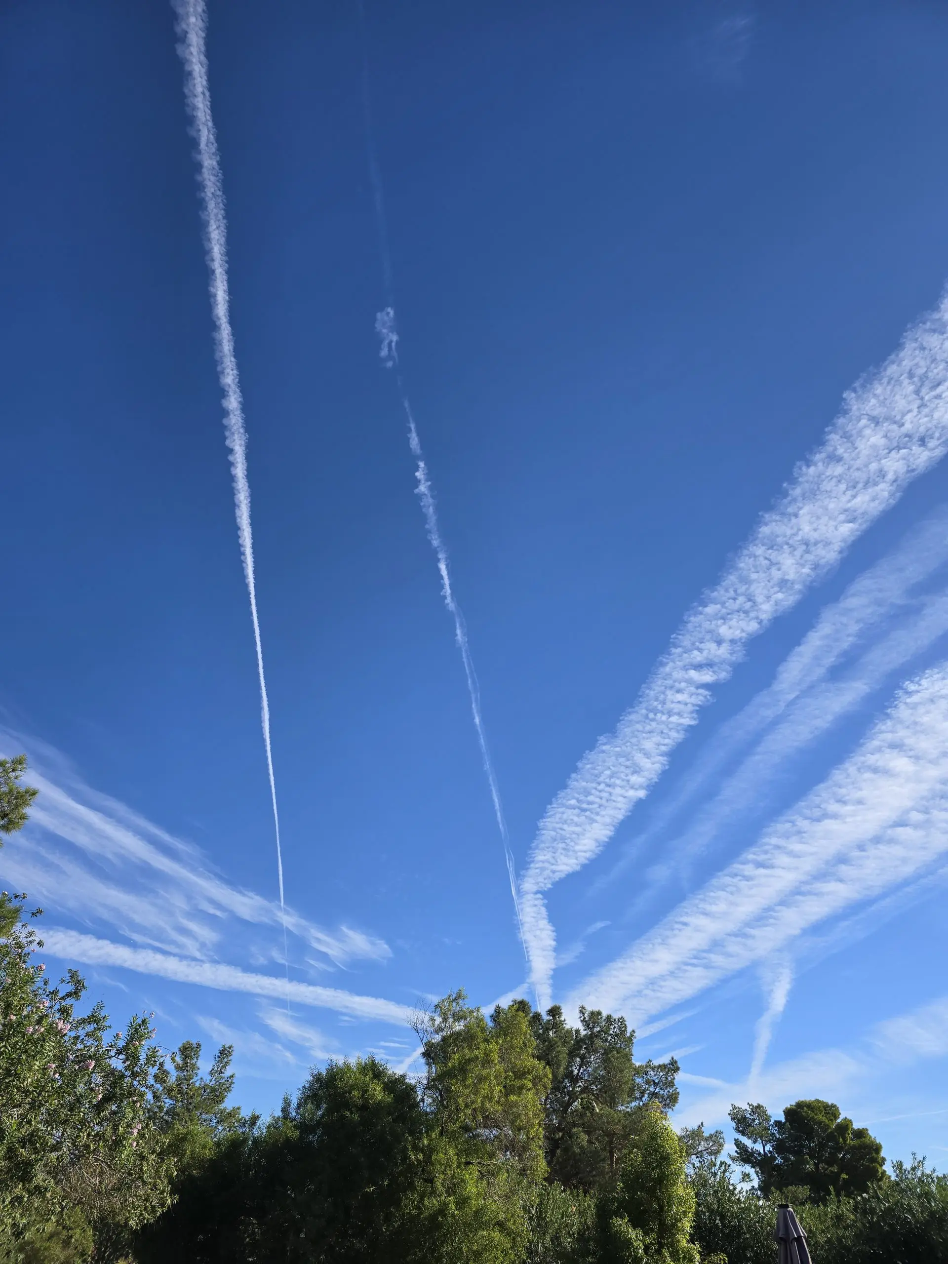 1760892033168516855795185169809