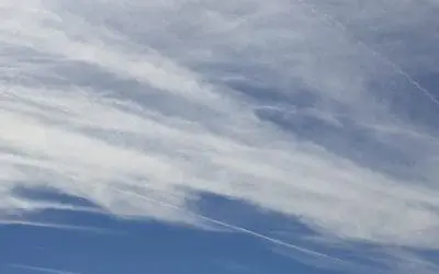 Completely covered in chem by 11am