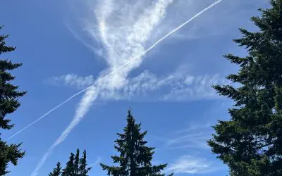 Sadness in my happy place