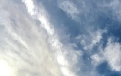 Disgusting in the former USA