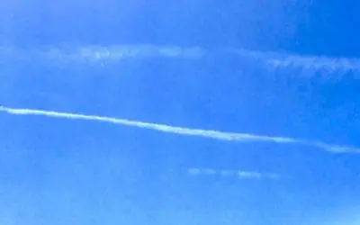 Where’s the tone deaf self important president? He is so out of touch that it’s scary.