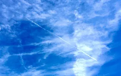 Trump is in charge, right? So why is he spraying you, he allows it and that is the damas doing it. Hmm?