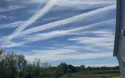 SW Mi  No words to describe the fury and the sadness that I feel!