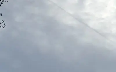 Black is the new white- WTF in SW MI