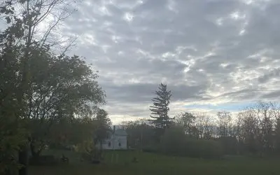 East side of Cayuga Lake , NY